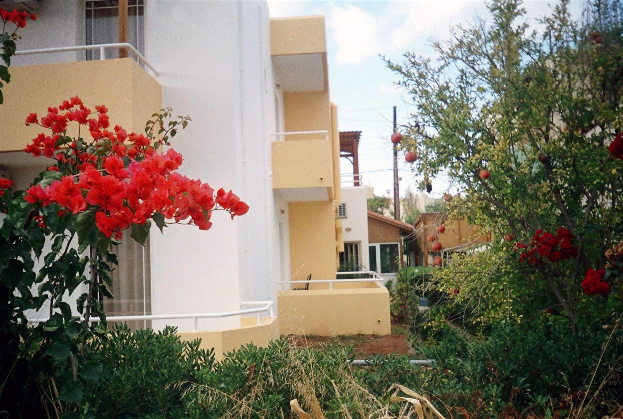 Dimitra Apartments Gouves Exteriér fotografie